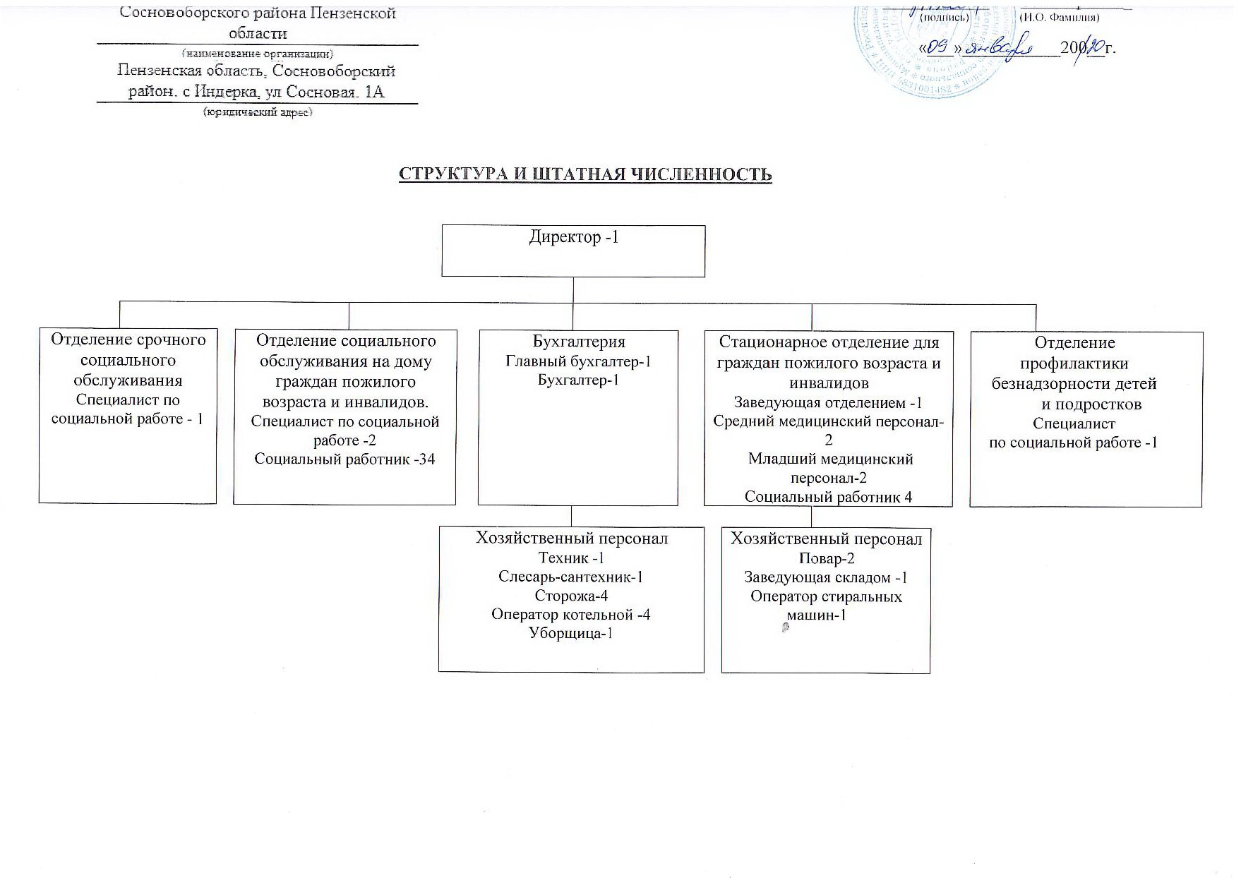 Структура организации